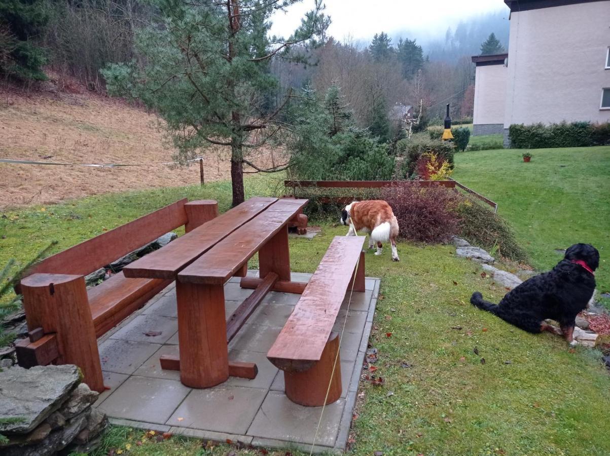 Horský apartmán Krkonoše Vítkovice Exteriér fotografie