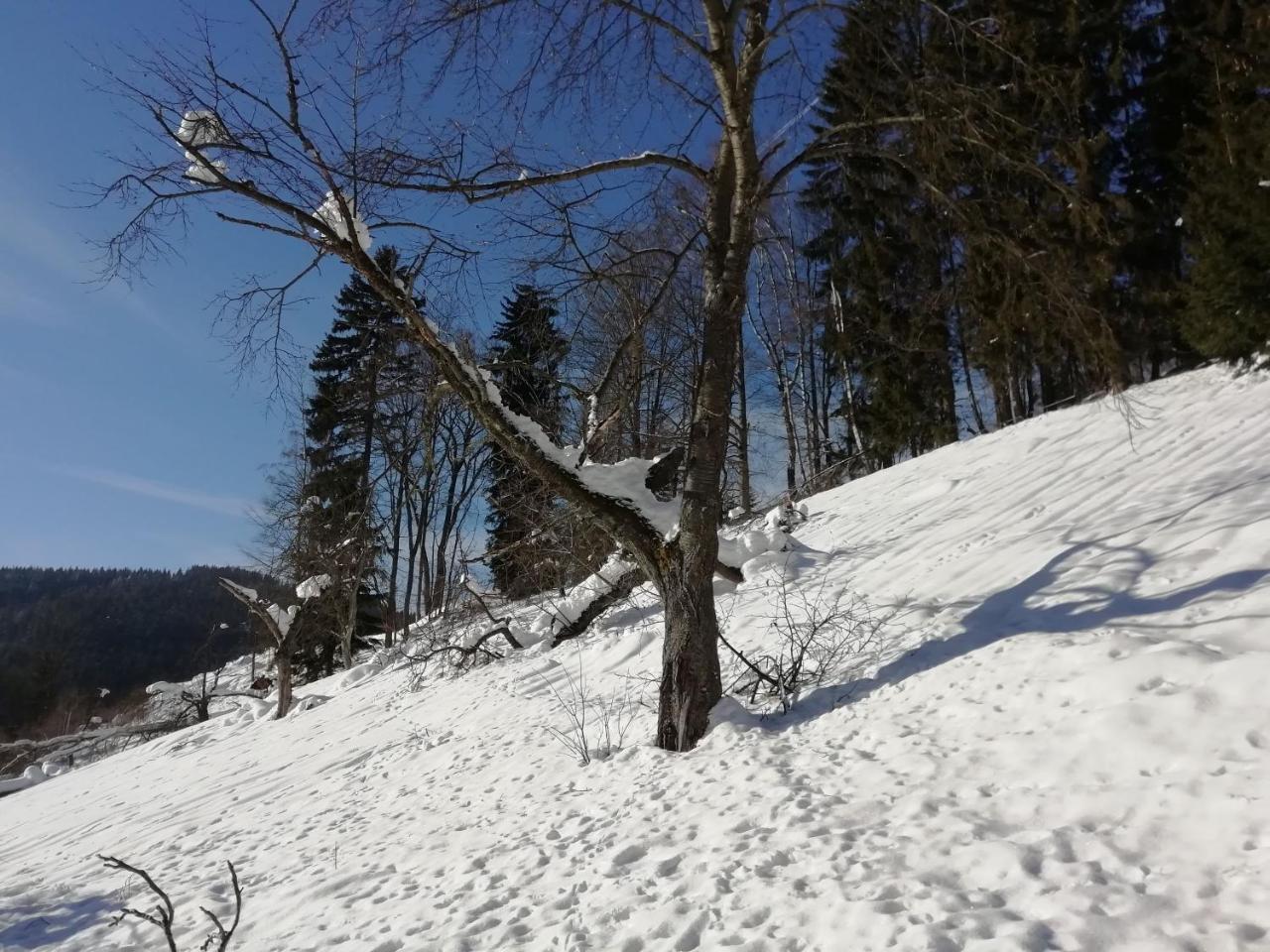 Horský apartmán Krkonoše Vítkovice Exteriér fotografie