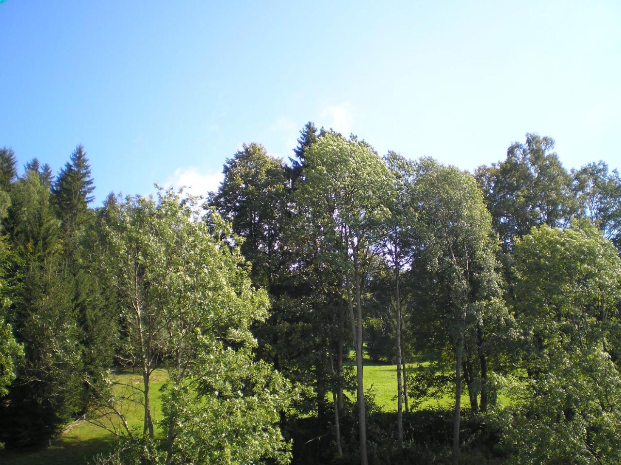 Horský apartmán Krkonoše Vítkovice Exteriér fotografie